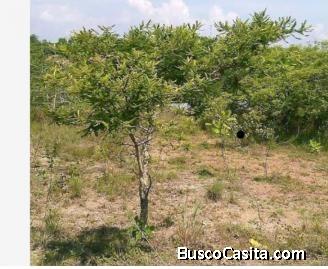 TERRENO EN VENTA 