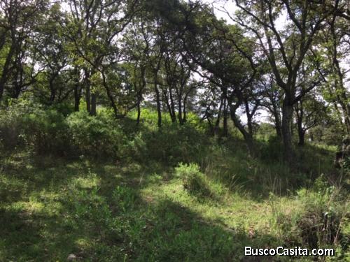 AMPLIO TERRENO EN VENTA UBICADO EN CAÑADA REAL. 