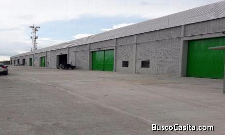 Bodega Parque Fenix