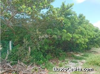 TERRENO EN PUERTO CHELEM 