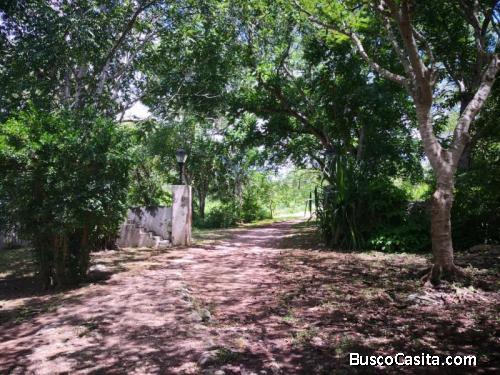 TERRENO EN VENTA EN EL CENTRO 