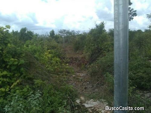 VENTA DE TERRENO UBICADO EN CONKAL