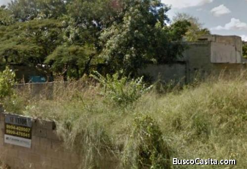 TERRENO EN VENTA UBICADO EN SAN PEDRO UXMAL