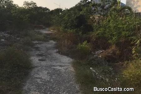 VENTA DE TERRENO EN SAN PEDRO UXMAL