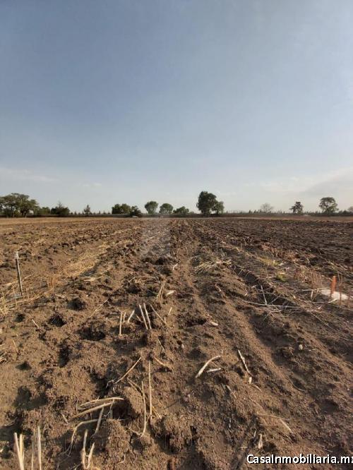 TERRENO VENTA BOYEROS TEXCOCO