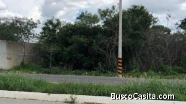 VENTA DE TERRENO EN LINDAVISTA