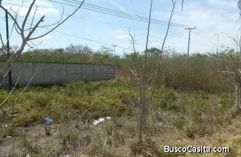 VENTA DE TERRENO UBICADO EN VERGEL 