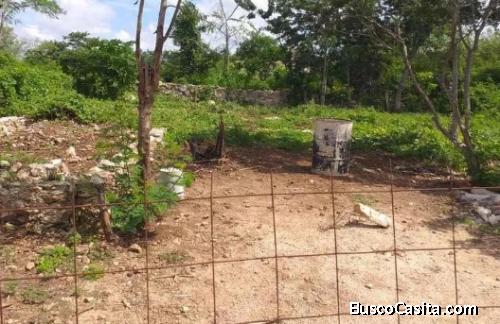TERRENO EN VENTA UBICADO EN KANASIN