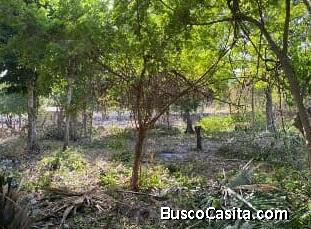 TERRENO EN VENTA UBICADO EN CAUCEL 