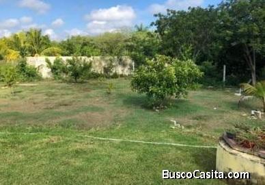 VENTA DE TERRENO EN UMAN