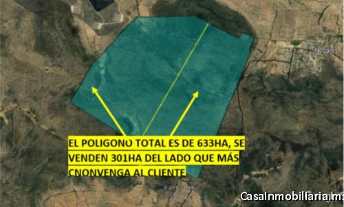 301 Hectáreas Plusvalía 35% OPORTUNIDAD $65XM2 Ideal para desarrollo urbano ubicación privilegiada. 
