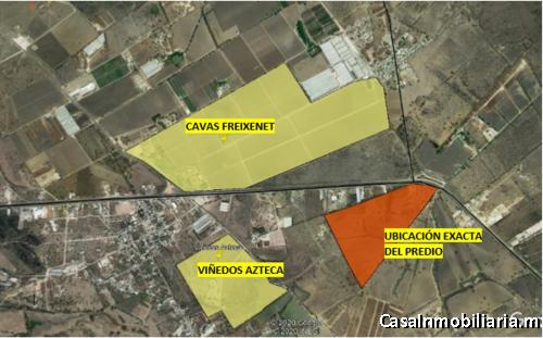 20 hectáreas  $120XM2  frente a cavas Freixenet, y a un costado de viñedos azteca, Ideal para viñedo