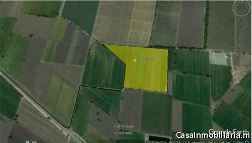 8.8 hectáreas OPORTUNIDAD $190XM2, PLUSVALÍA, IDEAL PARA agroindustrial o industria ligera