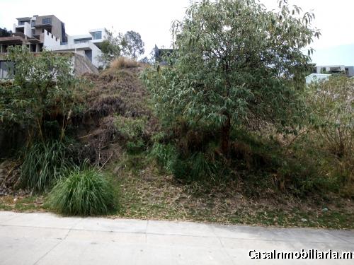 BOSQUE REAL. BONITO TERRENO EN PRIVADA