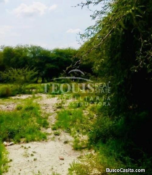 Terrenos en venta en barrio de la magdalena