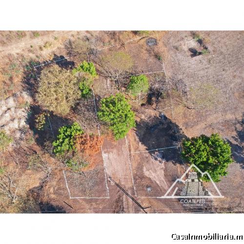 A la venta 7 Lotes Hermosos planos y a borde de carretera