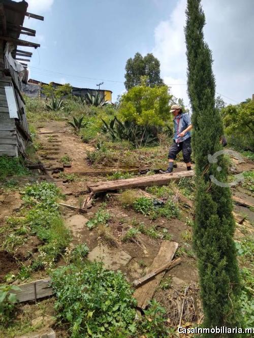 Terreno Cerca De Metro 'La Paz' (Se aceptan créditos hipotecarios)