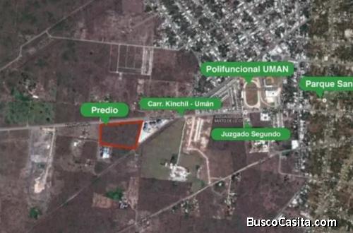 TERRENO EN UMAN CENTRO