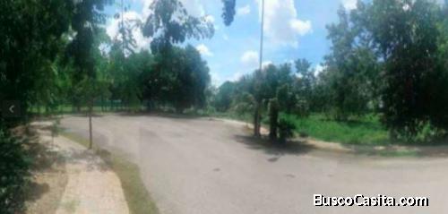 TERRENO EN SAN RAMON NORTE