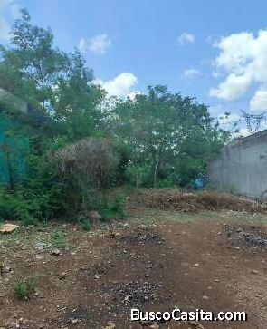 TERRENO EN VENTA UBICADO EN TERRANOVA