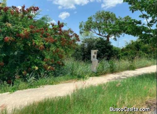 TERRENO EN ZONA CAUCEL 