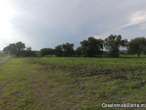 Terreno de 3.27 hectáreas $122XM2 OPORTUNIDAD, Ideal para Agrícola Siembra Cultivo Industria Ligera