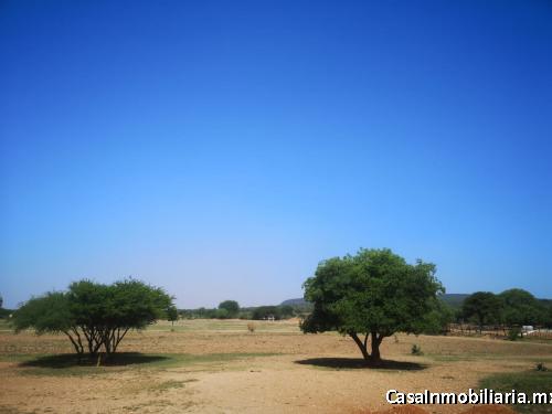 2 hectáreas $350XM2, PLUSVALÍA del 35% anual. Ideal para rancho, habitacional campestre o inversión