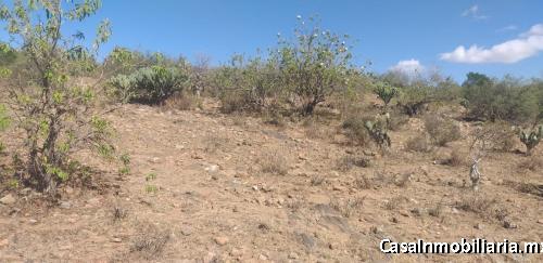 Terreno de 2500M2 OPORTUNIDAD $500XM2, IDEAL PARA Inversión, industria ligera, bodegas