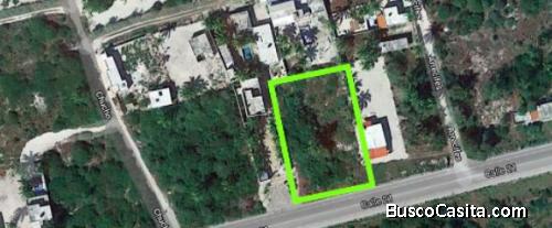 LINDO TERRENO EN PROGRESO