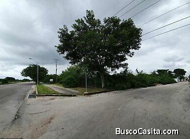 TERRENO EN VENTA UBICADO EN CAUCEL, MÉRIDA 