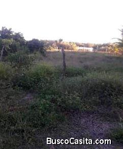 Excelente terreno en Yobaín 
