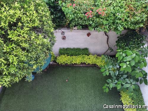 Linda casa sola iluminada con jardín trasero, lista para habitar en Coapa