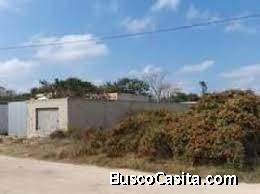 TERRENO UBICADO AL SUR DE MERIDA (MULCHECHEN)