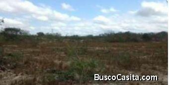 TERRENO EN VENTA 