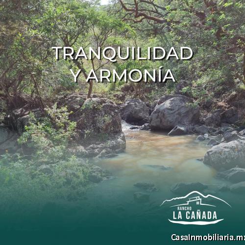 TERRENOS CAMPESTRES DE 5,000M2 EN LA RIBERA DE CHAPALA