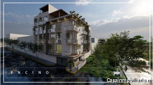 DESARROLLO VENTA ENCINOS