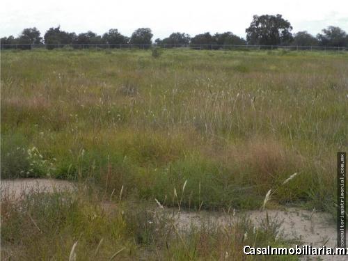 TERRENO VENTA LA NORIA III