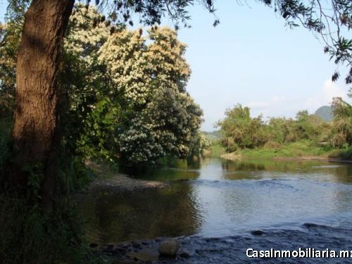 Pantla zona Ixtapa 113 hectareas con 800 m2  frente de playa T539