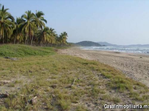 Pantla cerca Ixtapa 6 Has en venta con 300 m2 frente de playa T537