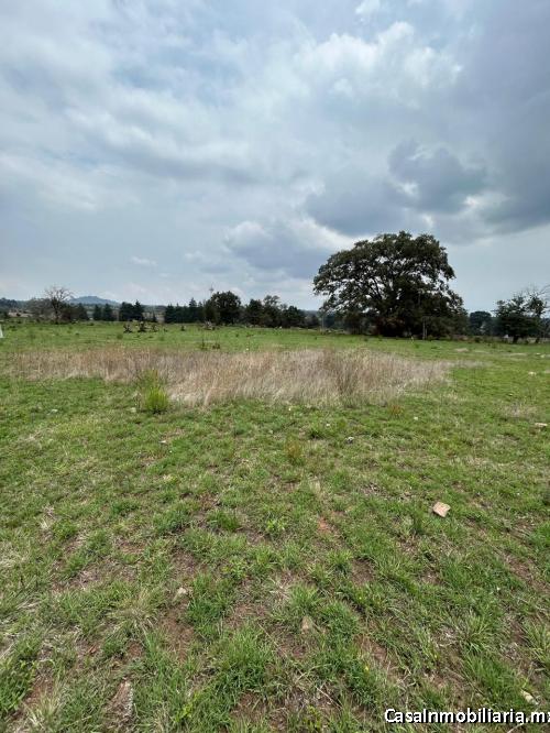 TERRENO EN VENTA DE MUY BUEN TAMAÑO