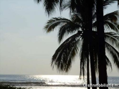 Pantla cerca Ixtapa 6 Has en venta con 300 m2 frente de playa T537
