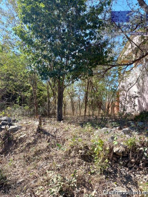 Terreno en Venta 140 m2 el Capire Zihuatanejo T514