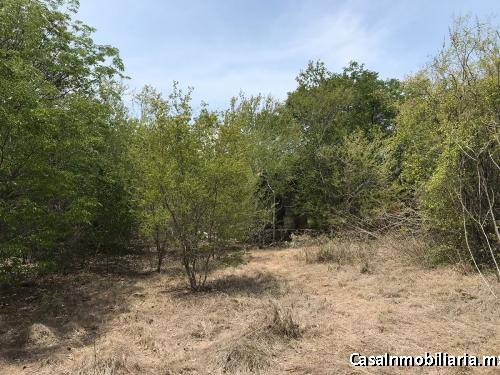 Terreno en el fraccionamiento San Lorenzo. Umán, Yucatán.