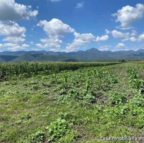 Venta terreno en Pisaflores. Cerro Grande