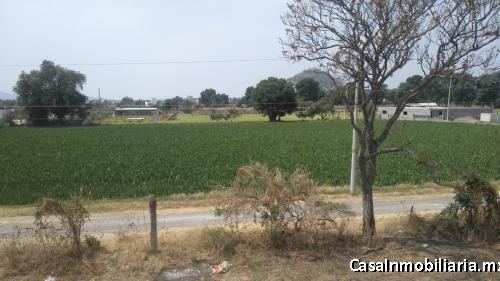 Terreno regular de 1,765.83 m2 Xalpatlaco servicios Atlixco Puebla