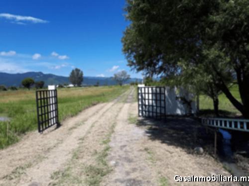 DESARROLLO TERRENOS PILCAYA GUERRERO