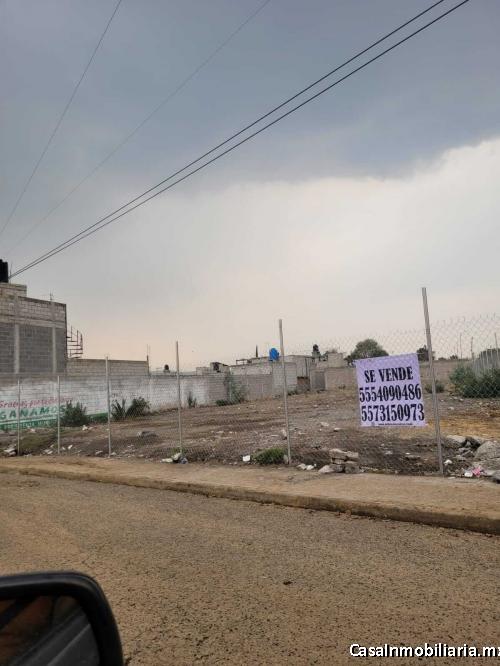 TERRENO VENTA ANDADOR SAN FRANCISCO DE ASIS SAN FRANCISCO ACUAUTLA 2