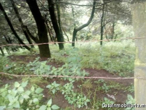 TERRENO VENTA MANUEL AVILA CAMACHO IXTAPALUCA 3