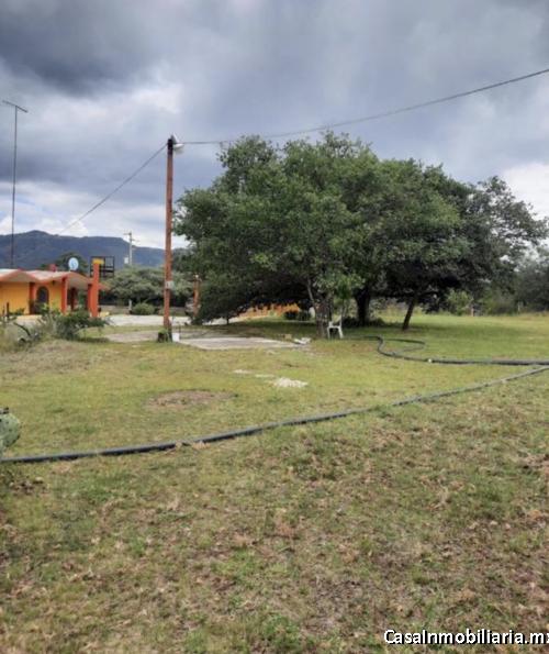 TERRENO EN VENTA EN COMANJA DE CORONA | MÁS DE 8 HECTÁREAS | LÍMITE DE LEÓN, GTO. Y JALISCO | 300 M²