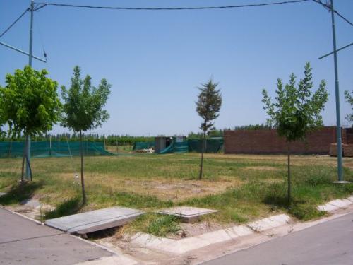 Lotes Barrio el Marquesado
